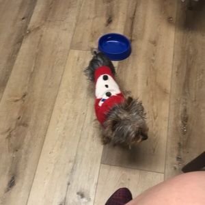 Meet your Posher, Martha